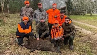 Un week-end entre copains ! Battues au sanglier et au cerf dans les Landes 🐗🦌