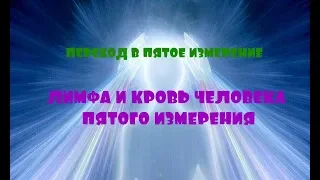 ОТЕЦ АБСОЛЮТ/ПЕРЕХОД В ПЯТОЕ ИЗМЕРЕНИЕ (Лимфа и кровь человека Пятого измерения)