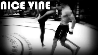 Yves Edwards vs Josh Thomson VINE#12