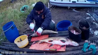 Рыбалка Богучанское водохранилище 2017