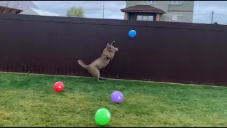 Messi teaches Gerda to play a game of balloons