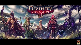 Divinity Original Sin 2 - Sins And Gods with Fight Echoes