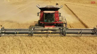NEW 45ft MacDon FD245 FLEXDRAPER Harvesting Wheat