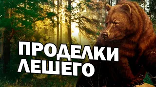 🐻/ПРОДЕЛКИ ЛЕШЕГО / ТАЕЖНОЕ ПРИКЛЮЧЕНИЕ/