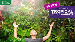 How to create a TROPICAL garden | 10 EASY TIPS