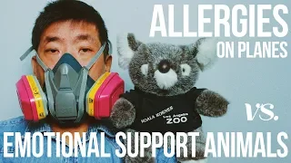 I'm Allergic to Emotional Support Animals So I WAS KICKED OFF MY FLIGHT | Ep.121