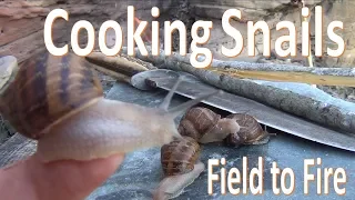 Catch N Cook Snails -Survival Escargot-