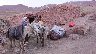 Crossing Spectacular Valleys and Mountains - Nomadic Lifestyle of Afghanistan