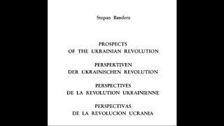 41 Перспективи української національно визвольної революції