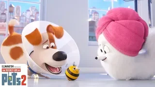 The Secret Life Of Pets 2 | The Busy Bee Trailer