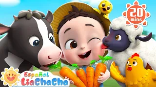 Fiesta de la Granja | Canción de Granja | LiaChaCha en Español - Canciones Infantiles