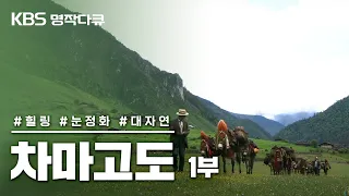 [명작다큐🎖️] 차마고도 茶馬古道 6부작 | 1부 마지막 마방 (KBS 2007.09.05 방송)