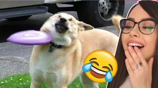 Funniest Animals - Top Funny Animal Videos of 2022 😁 REACTION !!!