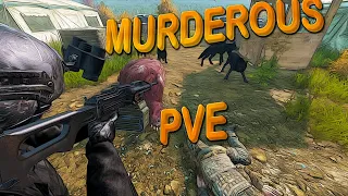 MurderousPvE В поисках стройки и хим сета Т4! DayZ PvE с нуля День 15 (обзор)