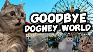 CAT MEMES: GOODBYE DOGNEY WORLD