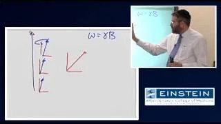 Introducing MRI: Introduction to NMR -- Transverse Component Magnetization (6 of 56)