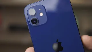 iPhone 12: Обзор и сравнение!