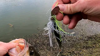 bass fishing with the new chatterbait elite evo+chatterspike