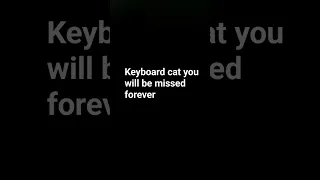 keyboard cat #keyboardcat #rip #respect