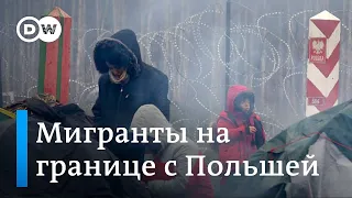 В Европу через Беларусь: мигранты на границе с Польшей