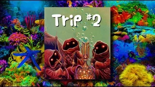 Mon trip sous champignons hallucinogènes #2