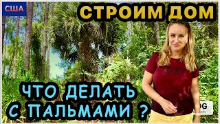 Строим Дом мечты. Что делать с пальмами на участке? Дом на заказ или план застройщика? США-Флорида