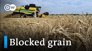 Can the Danube route be the way out for Ukraine's grain? I DW News