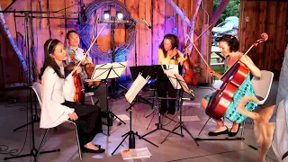 The Chamber Music Society of Mississauga Live Stream - Madawaska String Quartet