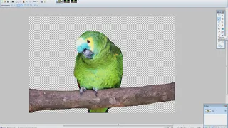 3 способа, как вырезать обьект из фотографии или картинки в PaintNet.Как убрать задний фон?
