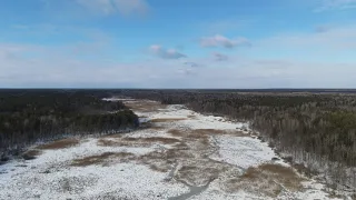 Мир дикой природы с высоты птичьего полёта.Необычное рядом...