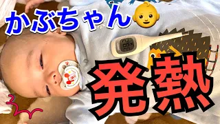 【発熱💦】かぶちゃんが発熱しました😭〜検査の結果・・・🥺〜