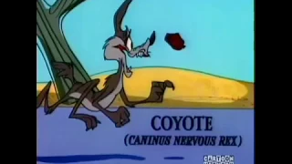 Bip Bip Roadrunner & Coyote 14- Nostaljik ÇizgiFilm