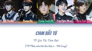 [Vietsub] Chim Bất Tử《不死鸟》- TF Gia Tộc Tam Đại【TF家族三代】(Color Coded Lyrics)