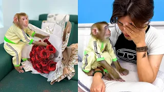 Mom cried because Monkey Kaka ruined favorite bouquet of flowers