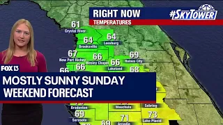 Tampa weather: Mostly sunny Sunday