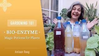 Gardening 101 | Bio-Enzyme - Magic Potion for Plant | यह जादुई सोल्यूशन बढ़ाएगा पौधों की चमक और बढ़त