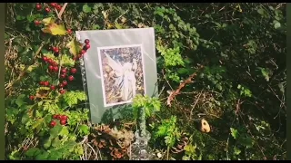 Out In Nature And Offerings For The Fae /Nature Spirits