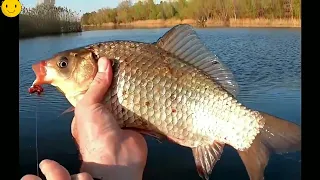 Подборка необычных случаев на рыбалке/Трофейная рыбалка 2022/Fishing