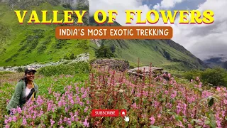 Trekking to VALLEY OF FLOWERS  August 2023 | Part 2 Gangharia to VOF National Park