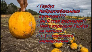 Гарбуз найрентабельніша культура? Як я став фермером? Чому вирощую гарбуз на насіння?