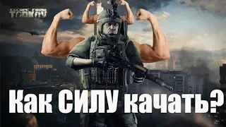 Как прокачать выносливость и силу в Escape from Tarkov.