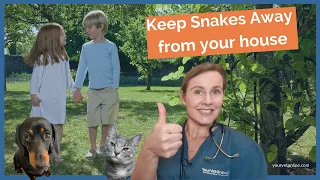 Snake Repellent: How To Keep Snakes Away From Your House | Your Vet Online