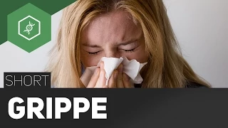 Influenza - Die "echte Grippe"