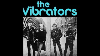 THE VIBRATORS WE'RE THE DEAD(2009-Under The Radar L.P)