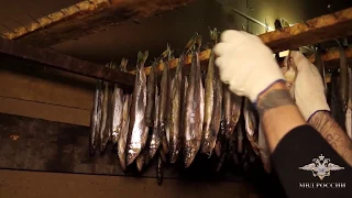 Сотрудники МВД России пресекли деятельность двух подпольных цехов по переработке рыбы