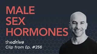 Male sex hormone system: how it works, testosterone, low T symptoms, TRT, and more | Peter Attia