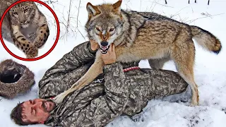 The Wolves Attacked An Old Man, Then A Snow Leopard Appeared And Did Something Unbelievable!