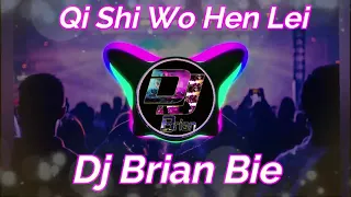 Qi Shi Wo Hen Lei 其实我很累 Remix By Dj Brian Bie