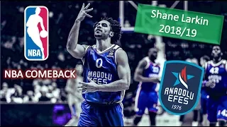 Shane Larkin ● Anadolu Efes ● 2018/19 Best Plays & Highlights ● NBA??