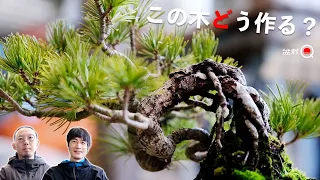 Learn how to make wood in a variety of ways. How do you make this Goyomatsu? [Bonsai Q]